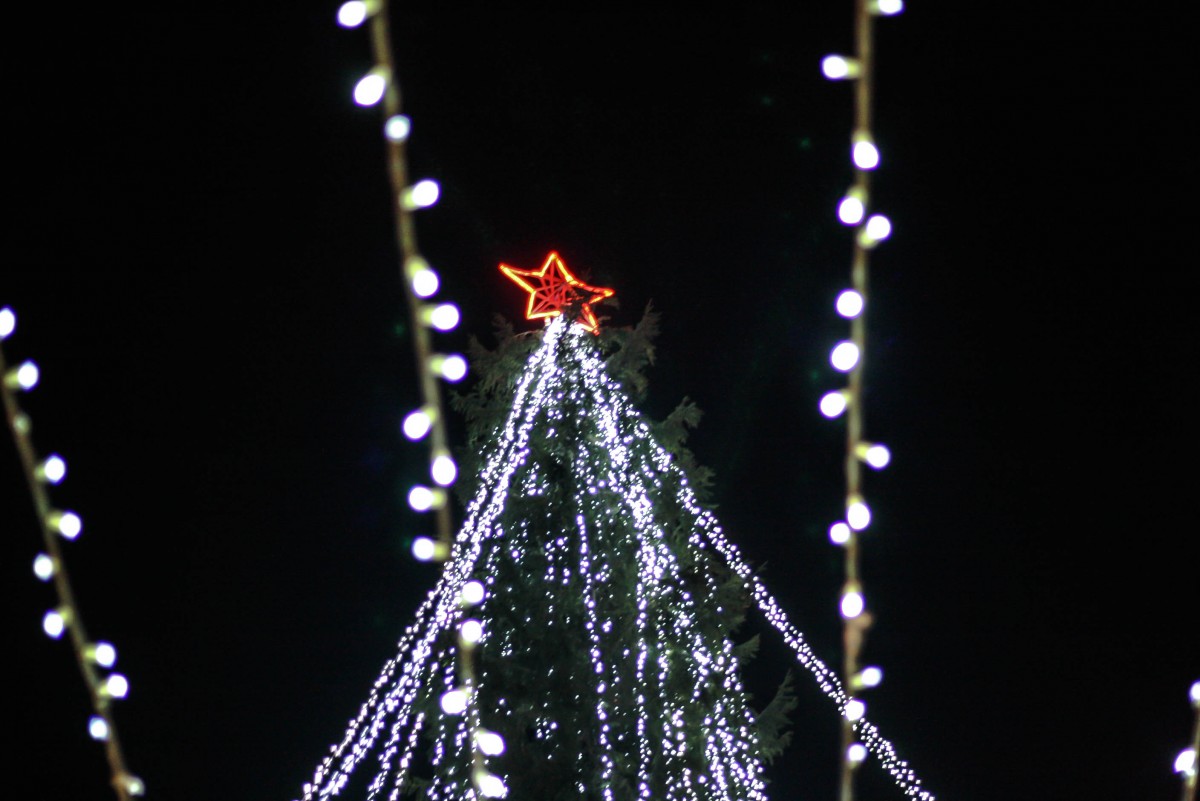 Seară de sărbătoare la Cisnădie. S-a aprins luminatul festiv | FOTO VIDEO