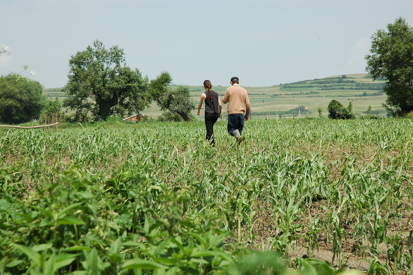 “Noi nu ne vindem țara!“ Cât pământ au cumpărat străinii în Sibiu