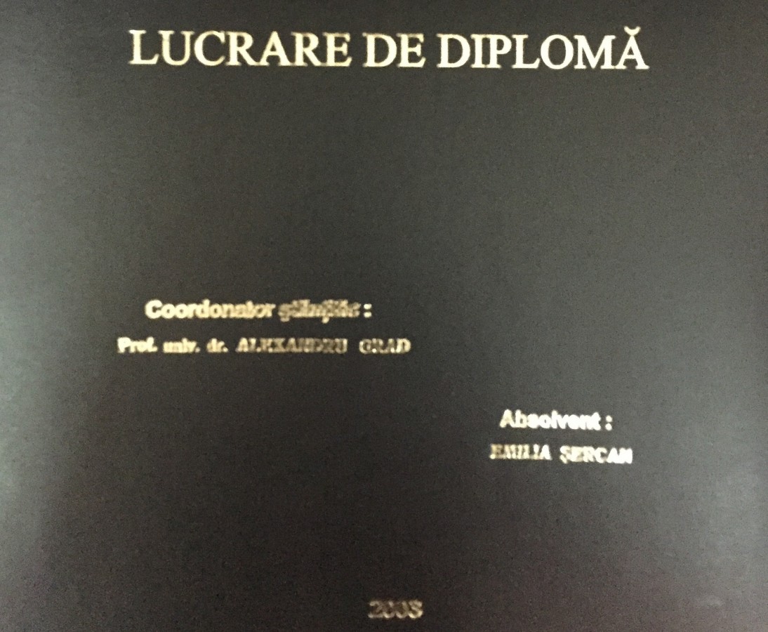 Lucrarea de licență a Emiliei Șercan, ținută la secret. Deocamdată