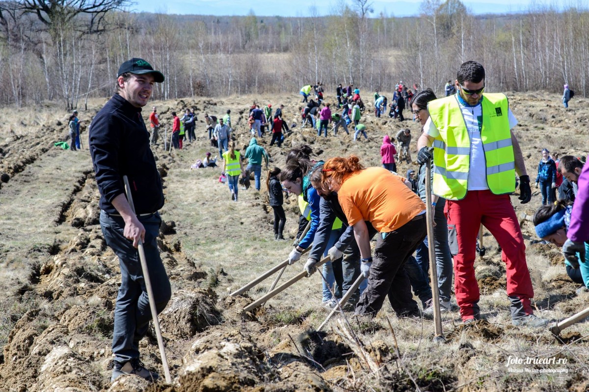 Proiectele maratonului. (17) Vor să organizeze activități de împădurire