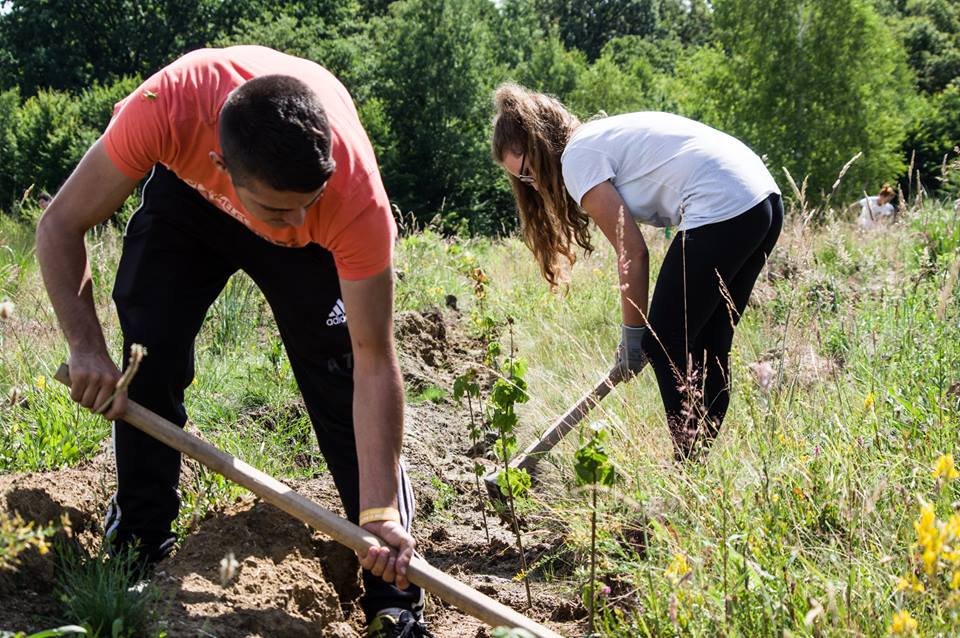 E nevoie de voluntari pentru îngrijirea puieților de la Arpașu. Se lasă cu muzică și bălăceală