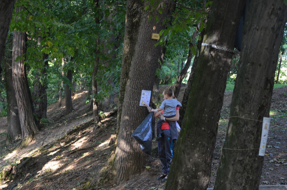 Părinți și copii strâng gunoaiele din parcul Sub Arini. Și actrița Ofelia Popii se alătură