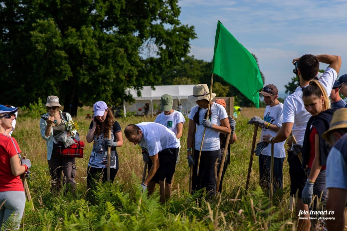  60 de voluntari au îngrijit 10.000 de puieți, la Arpașu de Jos