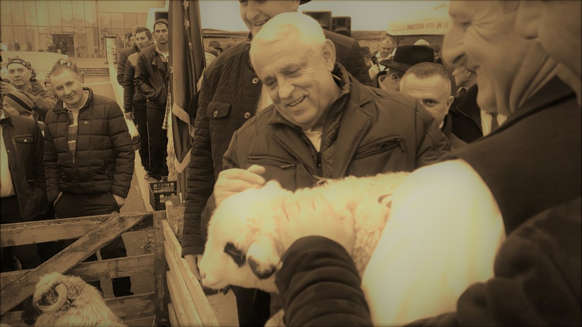 Daea în Sibiu, vizită pentru nostalgici. ”Să aveți grijă de oi, că sunteți în țara oierilor!” FOTO VIDEO