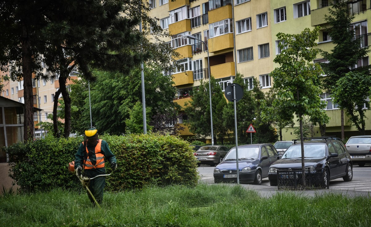 Din 3 mai începe campania împotriva țânțarilor și căpușelor