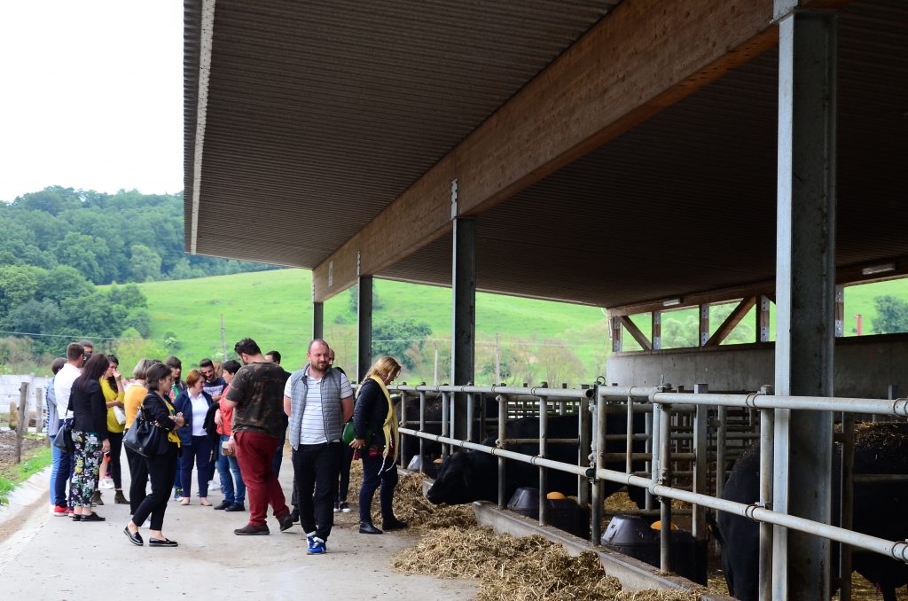 Eat Local Angus Beef, văzut de la firul ierbii
