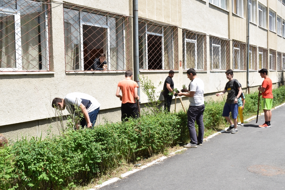 Studenți și elevi sibieni au înverzit Sibiul cu peste 300 de plante