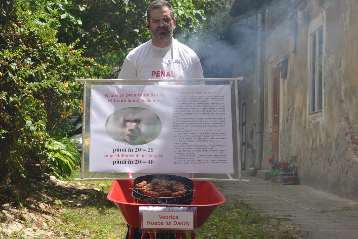 FOTO La protest, cu „Roaba lui Daddy”. Pregătirea marșului anti-PSD cu miros de mici din Sibiu