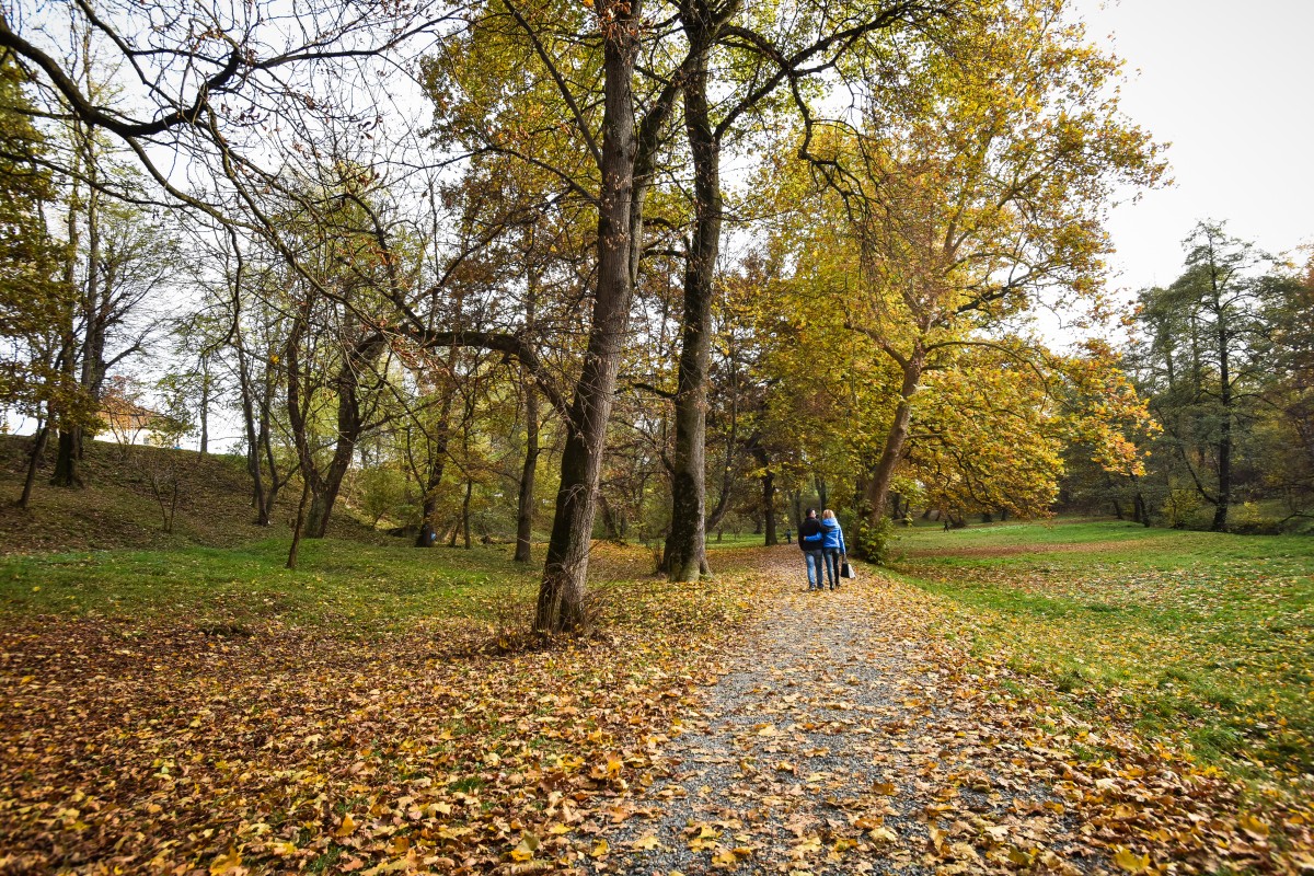 Adolescenți bătuți în Parcul Subarini. Un băiat are răni grave la față