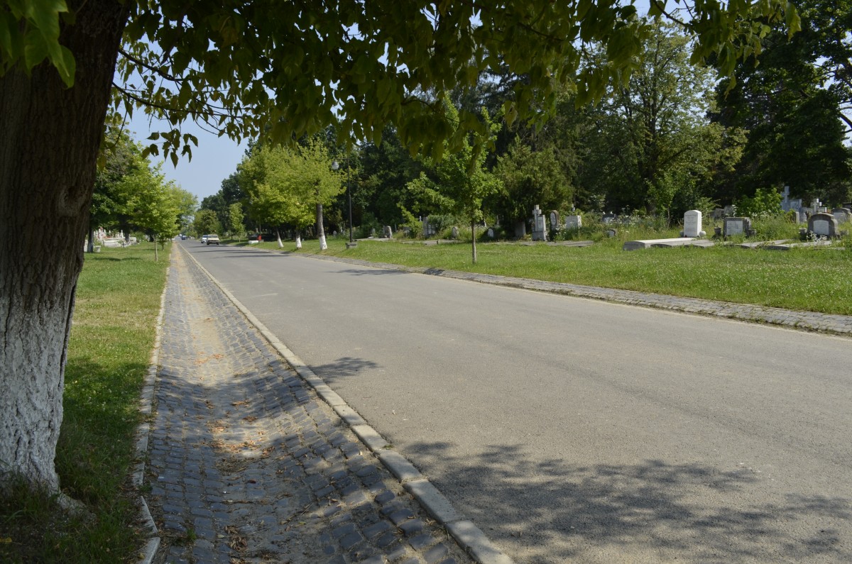 Începe curățenia de primăvară, la Cimitirul Municipal