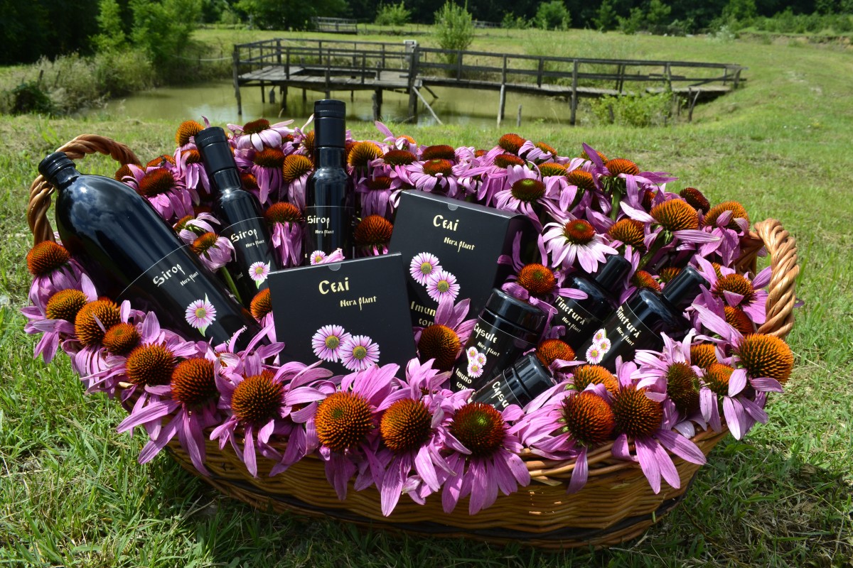 Beneficiile oțetului de mere cu miere