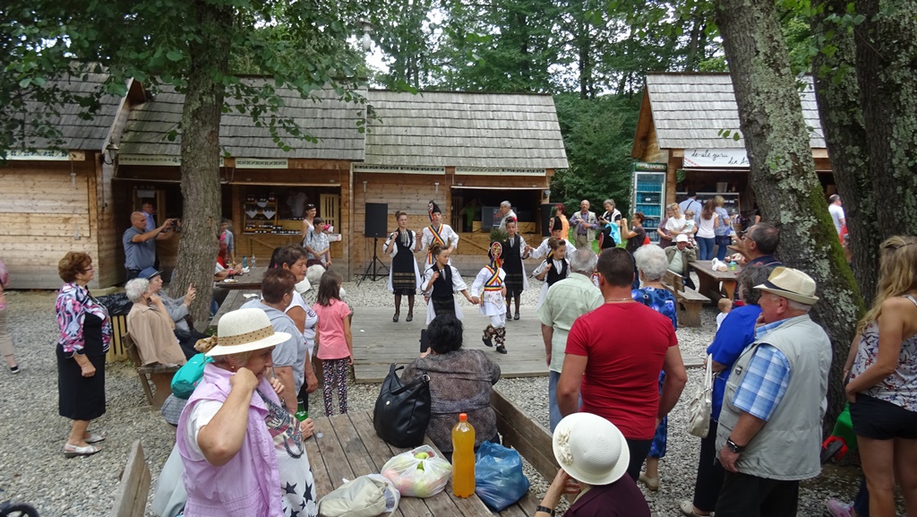 Aproape 7000 de vizitatori în week-end la Muzeul Astra