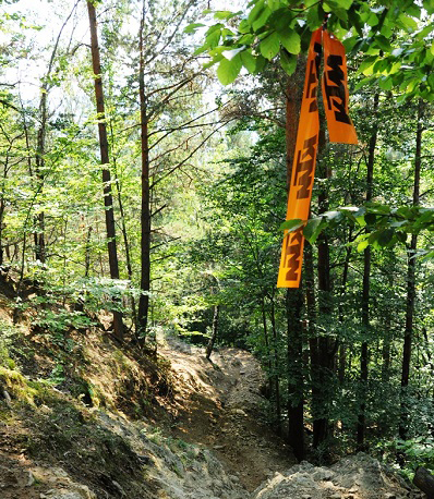 Primele măsuri pentru reglementarea practicării enduro în judeţ&;