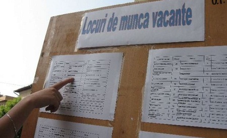 Ești în căutarea unui loc de muncă? AJOFM intermediază aproape 400 de posturi vacante