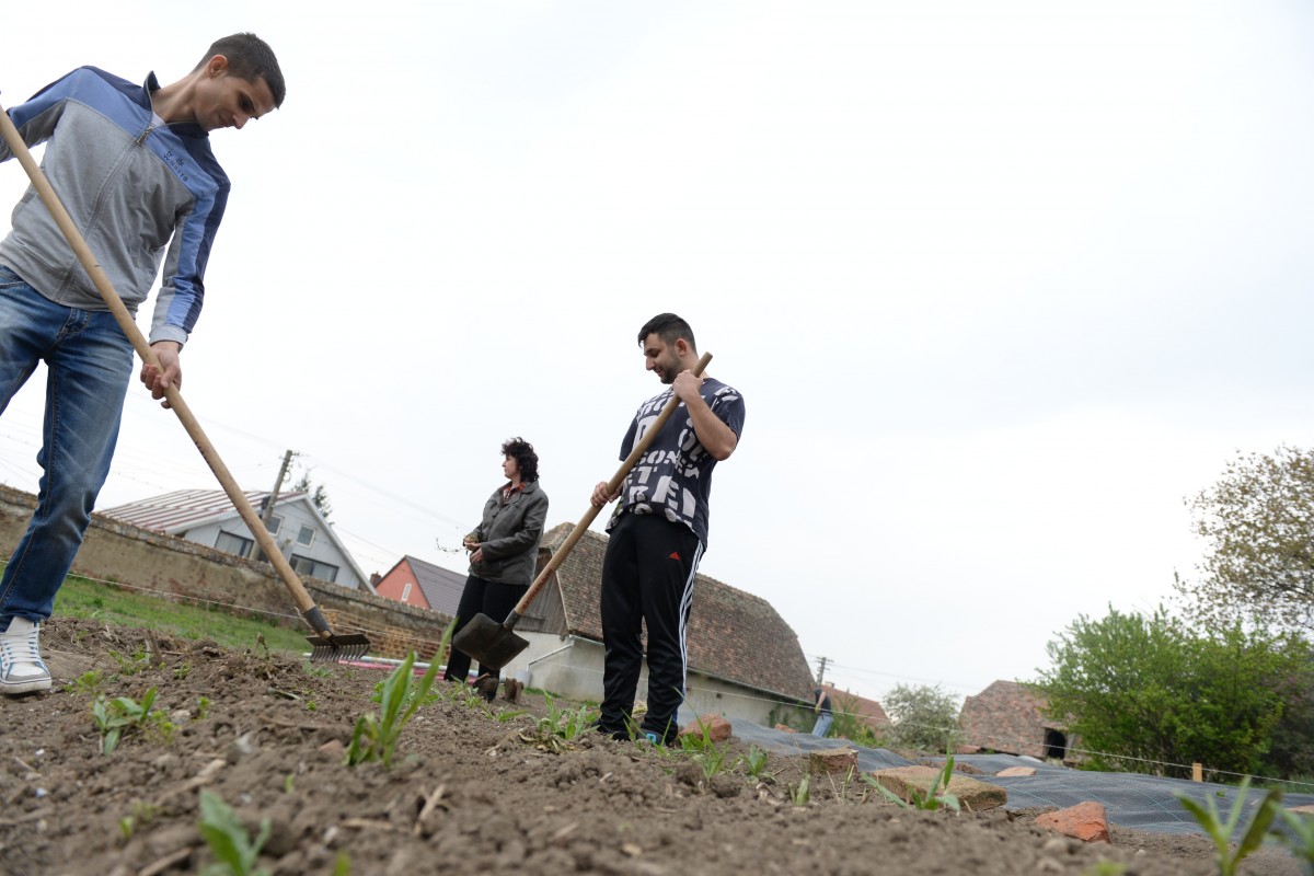 Un nou program în școlile din Sibiu - grădinăritul. „La țară nu se mai ocupă prea mult de pământ”