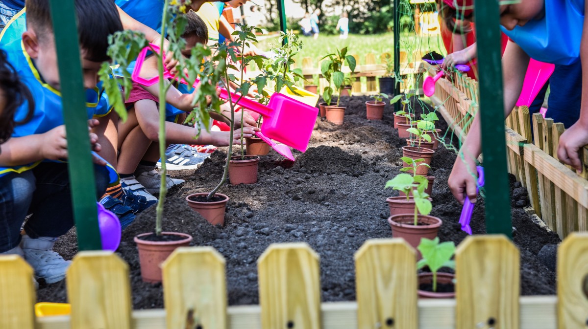 Grădinile din grădiniță, pregătite pentru rod