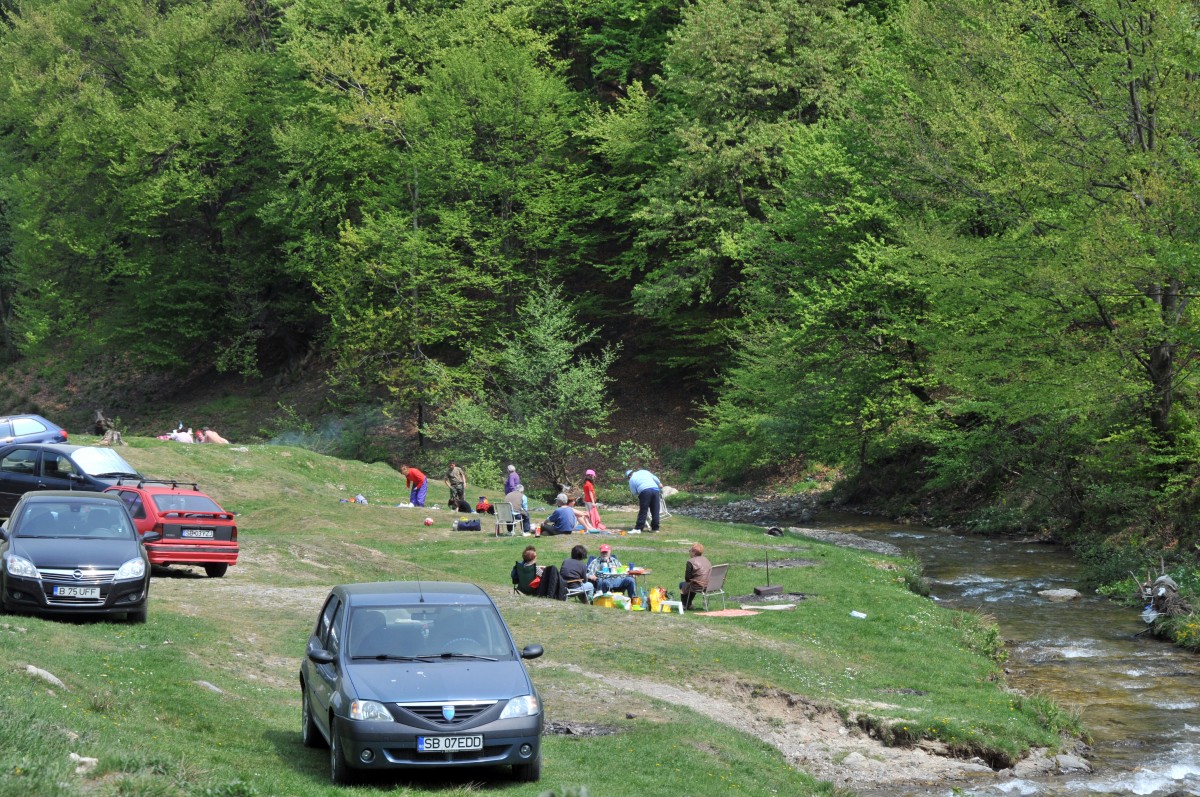 Garda de Mediu Sibiu nu a dat nicio amendă pe Legea picnicului