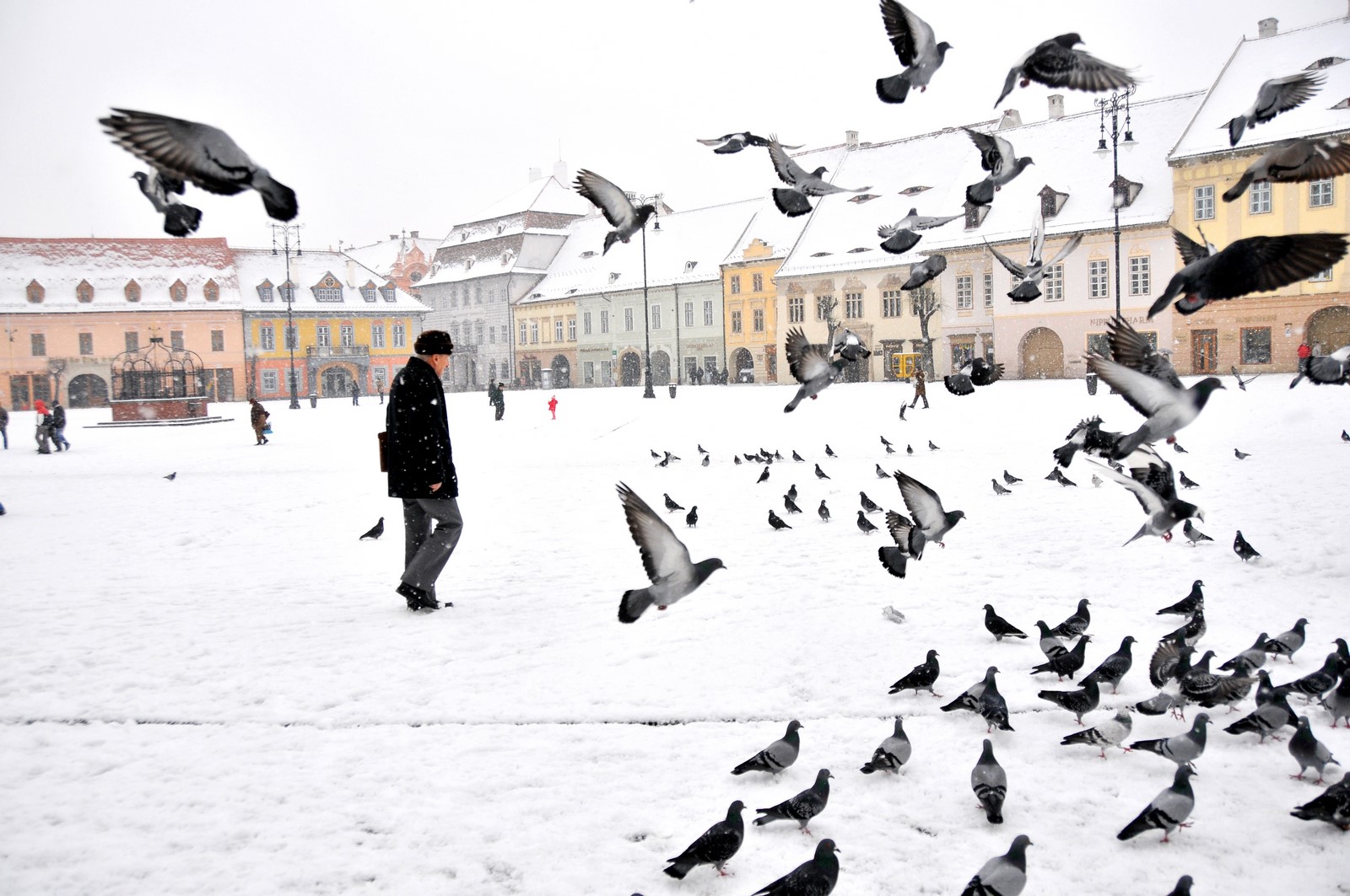 Cod galben de ninsoare și viscol în tot județul Sibiu