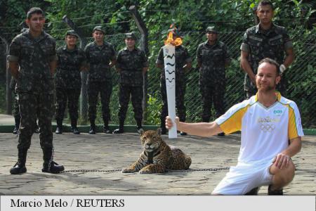 Un jaguar a fost împușcat în timpul ștafetei flăcării olimpice  (FOTO/VIDEO)