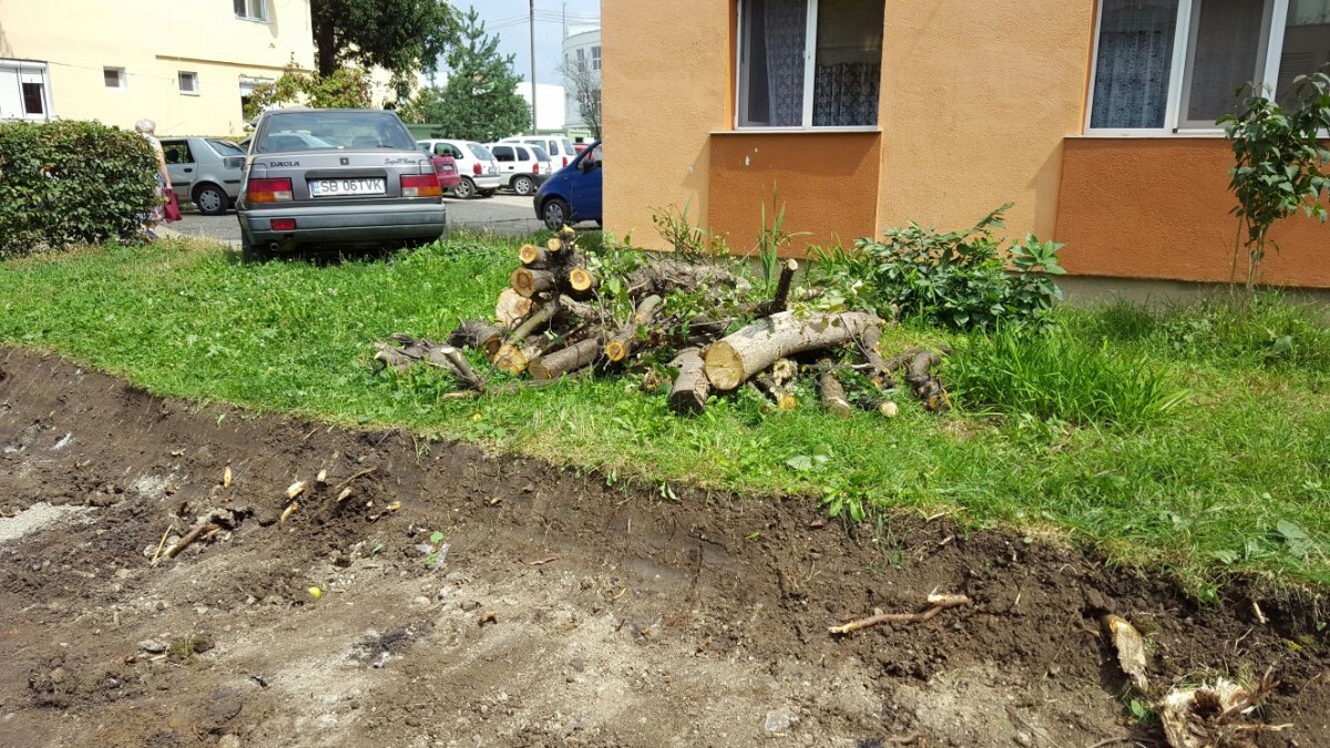 FOTO Primăria, între cei care cer grădini cu zarzavat și cei care cer locuri de parcare: ”se vor planta copaci noi”