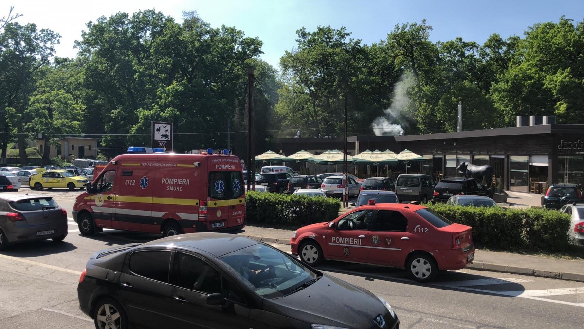 Incendiu la un restaurant din Sibiu. A luat foc hornul | Video