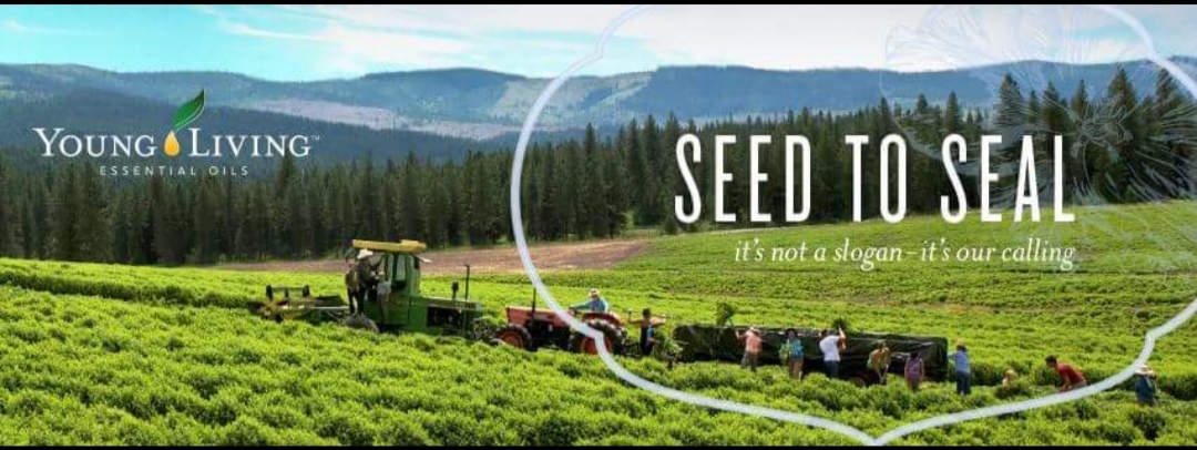 Prezentare aromată a importanței uleiurilor, la Biblioteca ASTRA