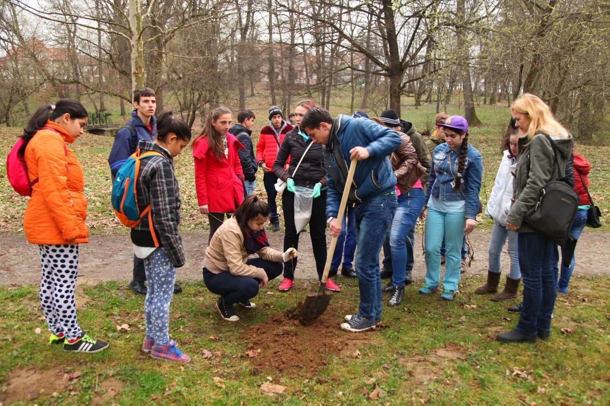 ”Vrem să înfrumusețăm parcul”. Elevii de la ”Terezianum” au ieșit să planteze copaci în Subarini