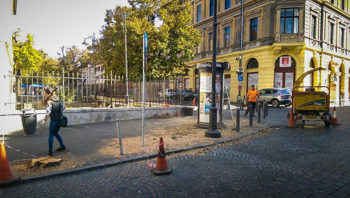 ACTUALIZARE Creangă prăbușită în centrul Sibiului. Copacul a fost tăiat