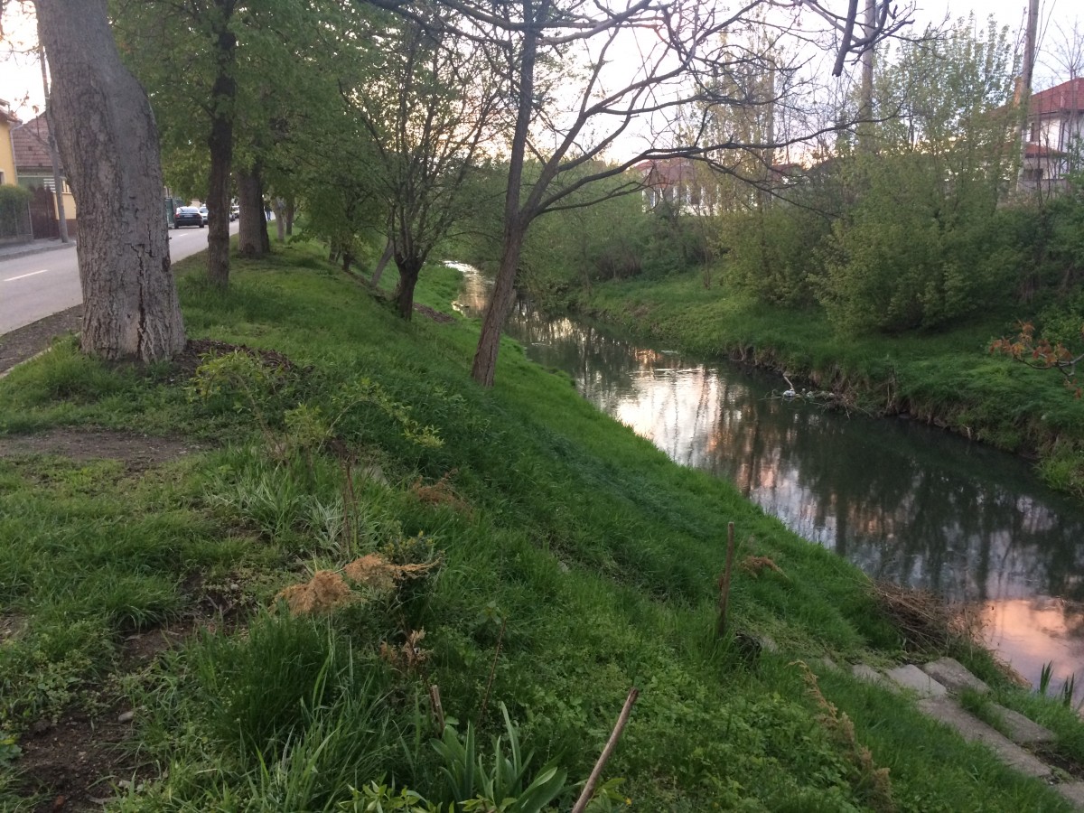 Poluare accidentală a pârâului Rossbach