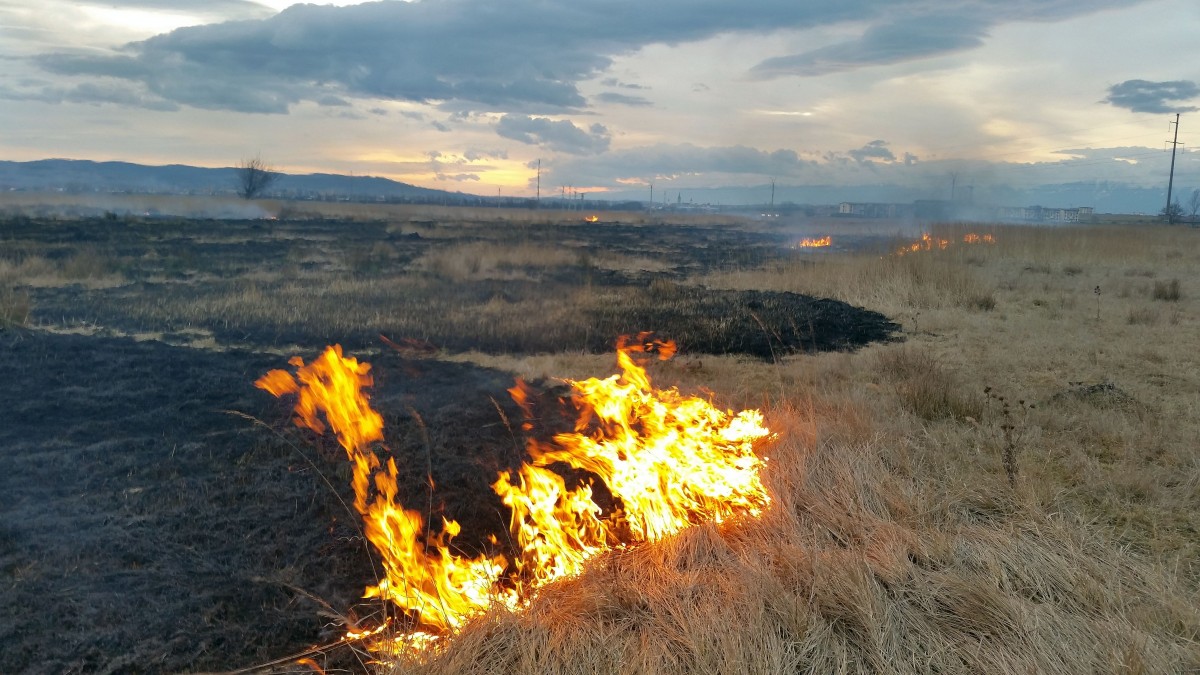 GALERIE FOTO Harnicii gospodari au început incendierile de primăvară