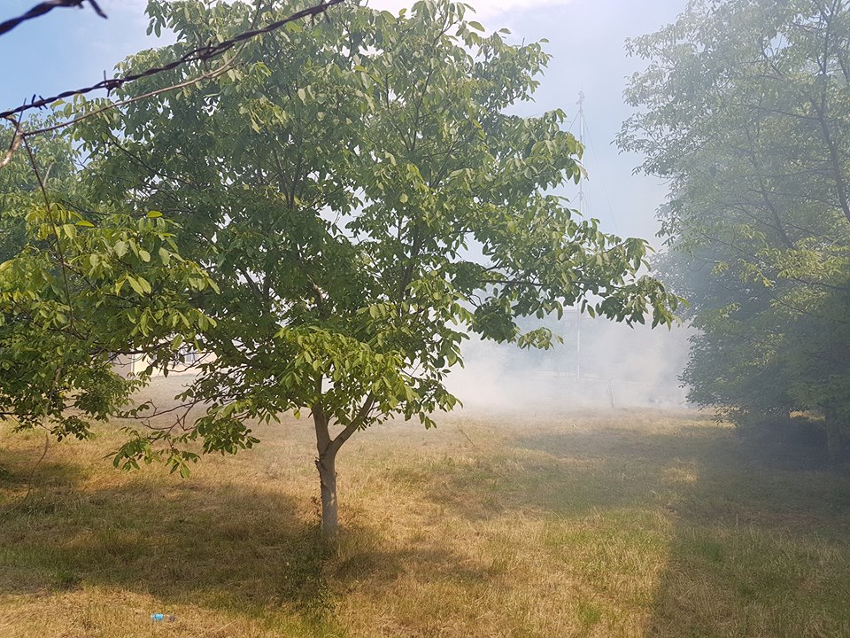 Incendiu de vegetație în inima Sibiului