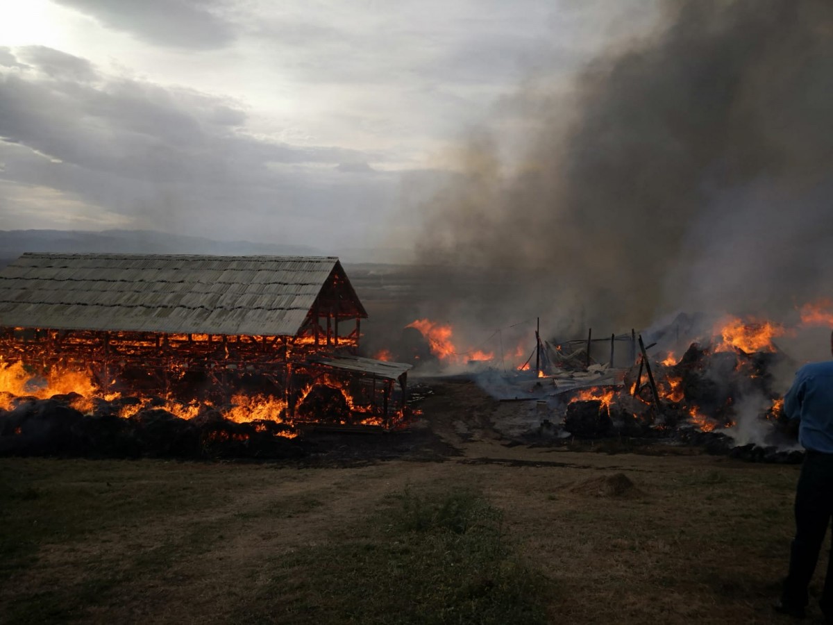 Incendiu la un saivan, în Bungard. Pompierii au încercat să-l stingă câteva ore