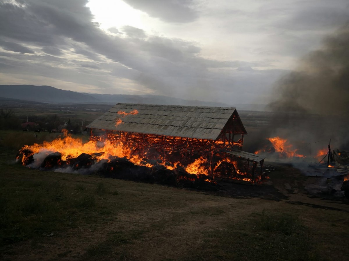 Fermierul din Bungard căruia i-a ars saivanul, ajutat de ministrul Petre Daea