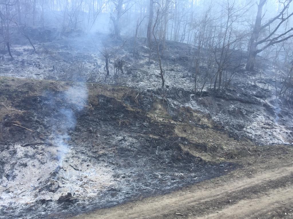 FOTO Peste 8 ore de luptă cu flăcările. Pompierii sibieni au lichidat un nou incendiu