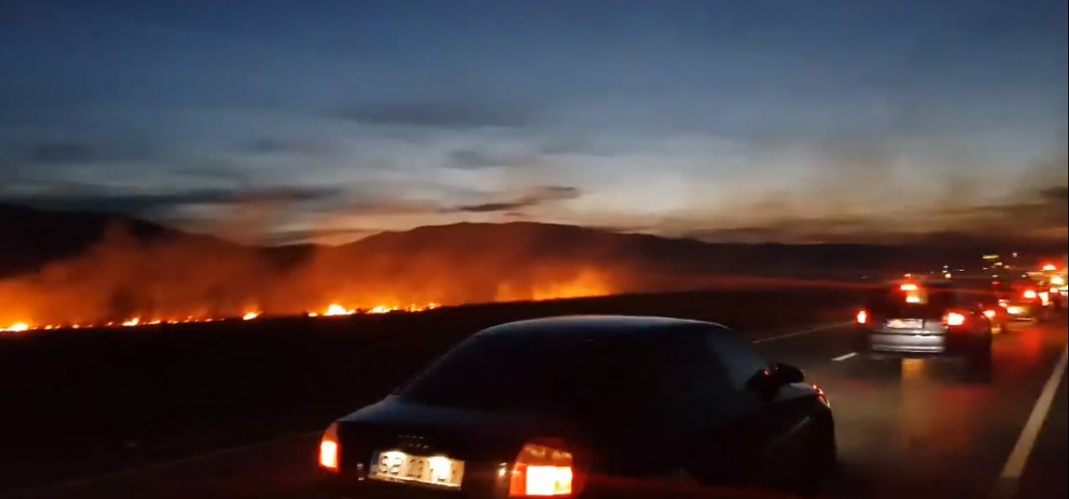 VIDEO FOTO. Incendiu de vegetație în zona Veștem | Actualizare