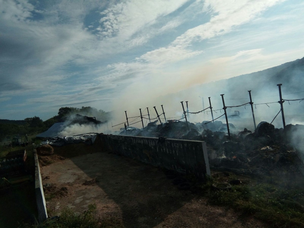 Foto | Un depozit de furaje din Bruiu a ars