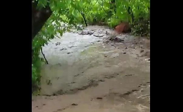 VIDEO – Inundații în Cisnădie