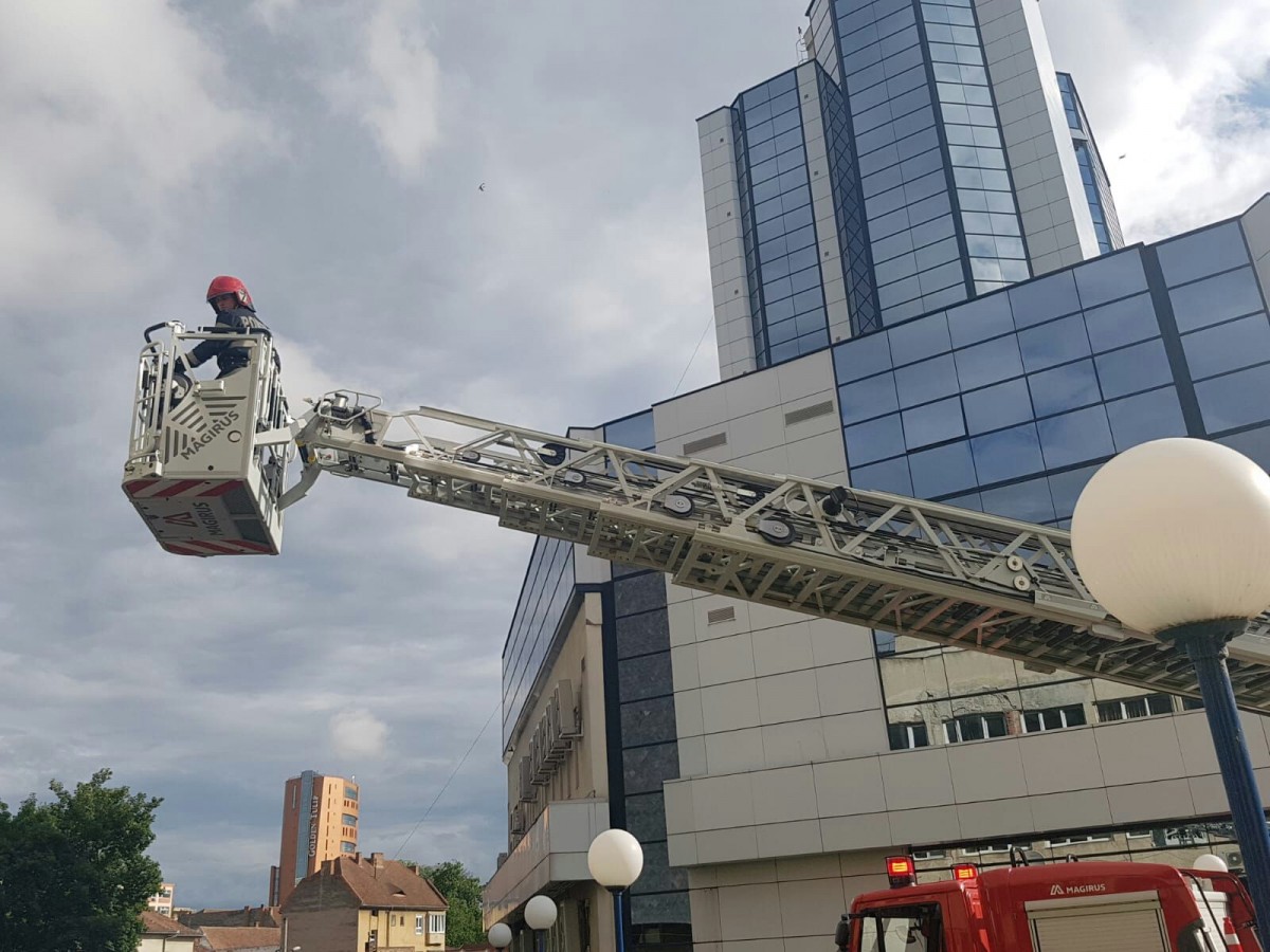 Un pescăruș rănit a fost salvat de pompieri de pe clădirea BCR