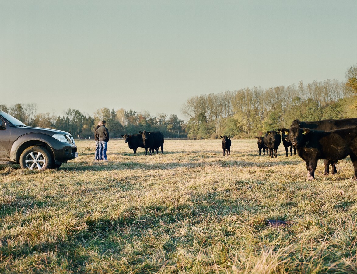 După investiții de zeci de milioane de euro, Karpaten Meat continuă expansiunea