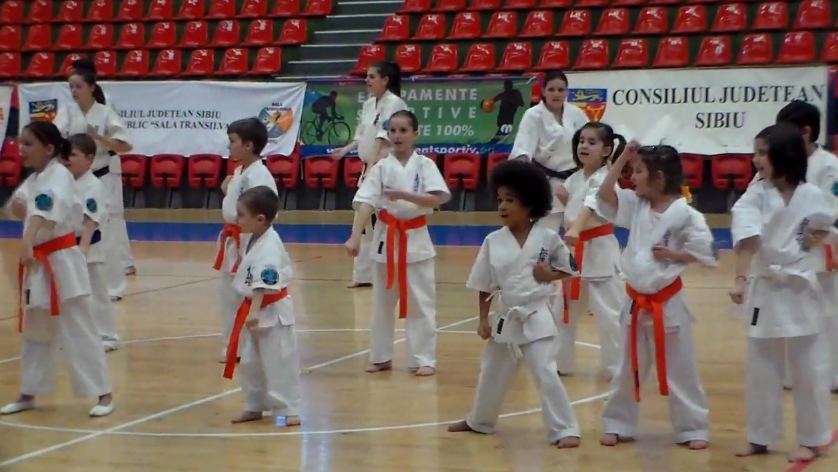 Campionatul Naţional de Kumite și “Cupa de 1 iunie de Karate Kyokushin Open” au loc în Sala “Transilvania”