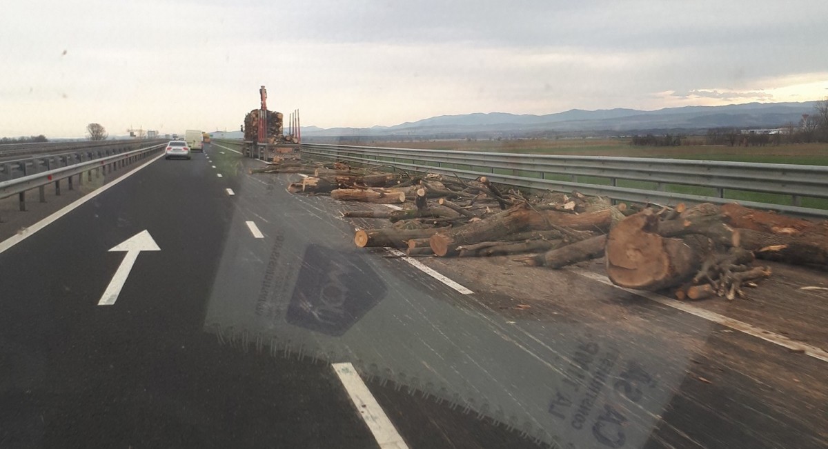FOTO ”Final destination”? Buștenii dintr-un camion în trafic s-au împrăștiat pe autostradă