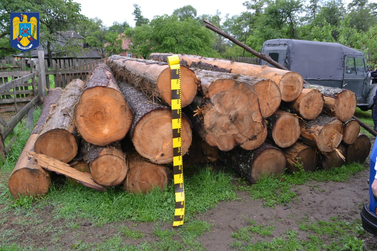 Cioloș: Tăierile ilegale de pădure sunt o problemă de siguranță națională
