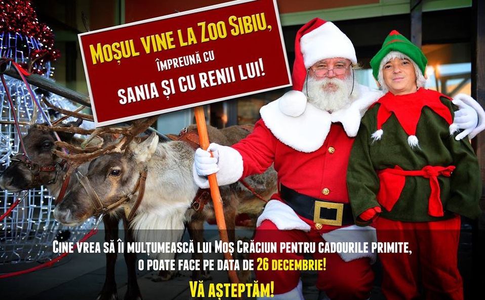 Moșul, sania și renii fac un ultim popas la Zoo