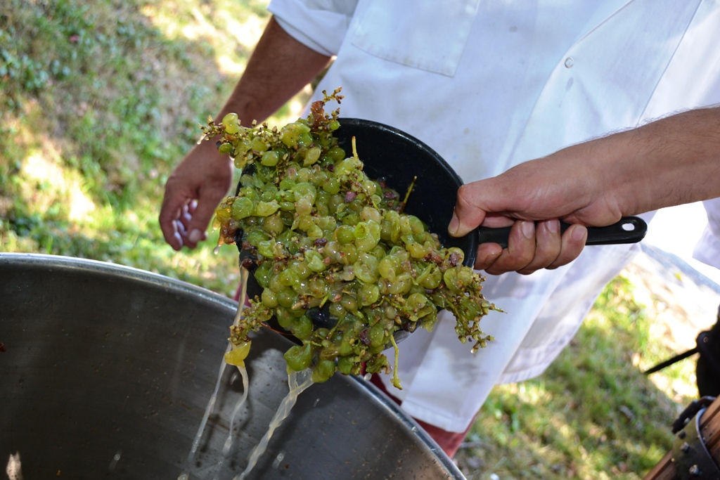 Muzeul Astra deschide astăzi mustăria tradițională. Program de iarnă