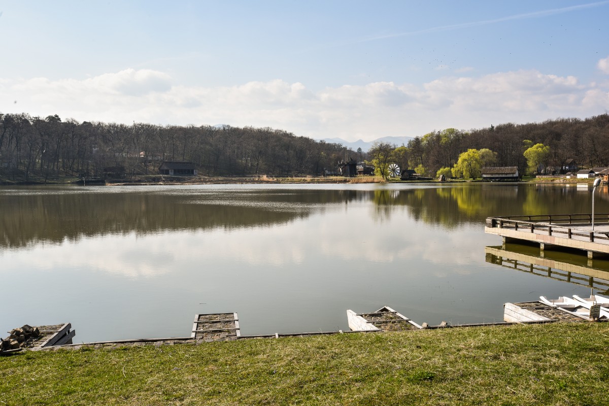 Lacul din Muzeu, poluat accidental de Cârciuma din Bătrâni