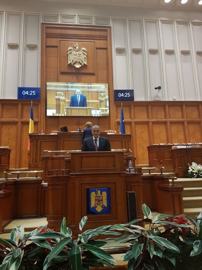 Neagu: Lia Olguța Vasilescu trăiește realitatea ei