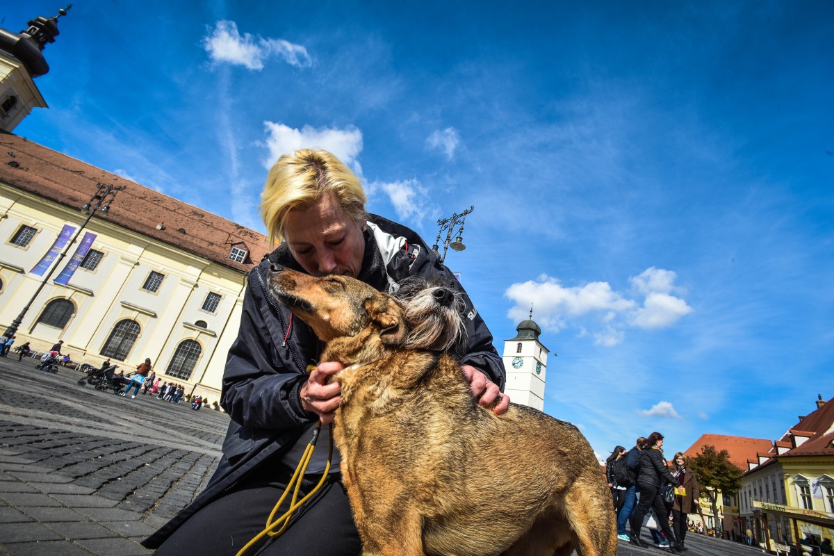 Interviu cu olandeza care a venit pe jos până la Sibiu pentru câini: Mulți olandezi cred că românii sunt barbari