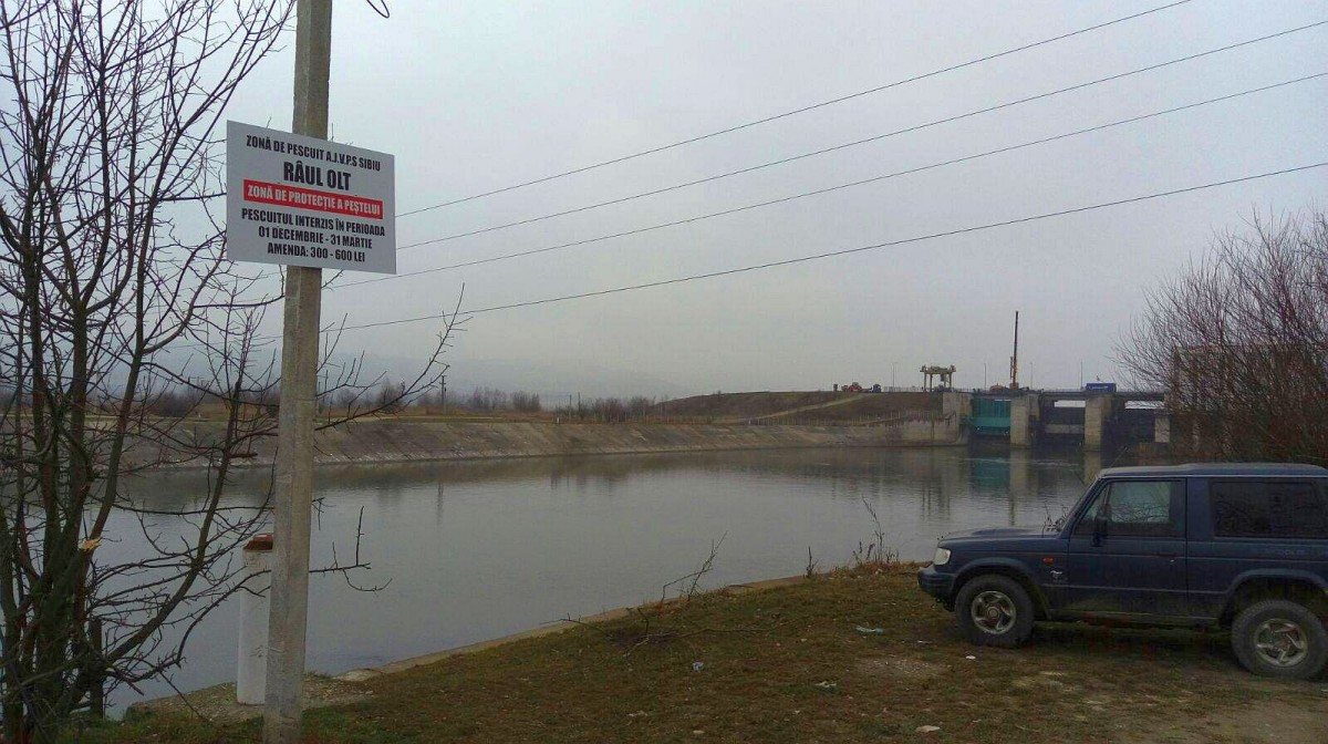 Pescuitul a fost interzis complet, pe unele porțiuni pe Olt, pentru refacerea populației de pești