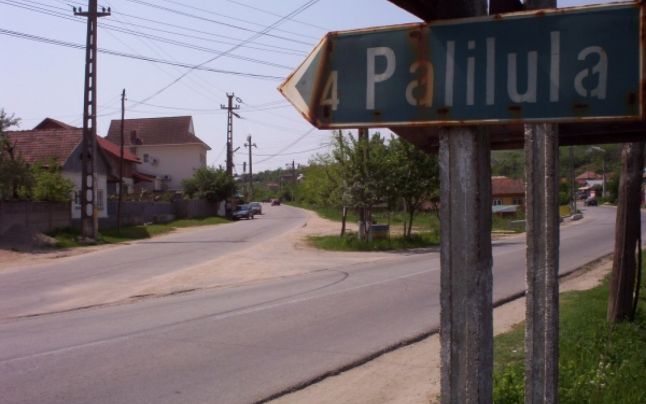 Undeva la Palilula: Un tânăr a împușcat mortal doi oameni, tată și fiu, a rănit grav alți doi și s-a sinucis