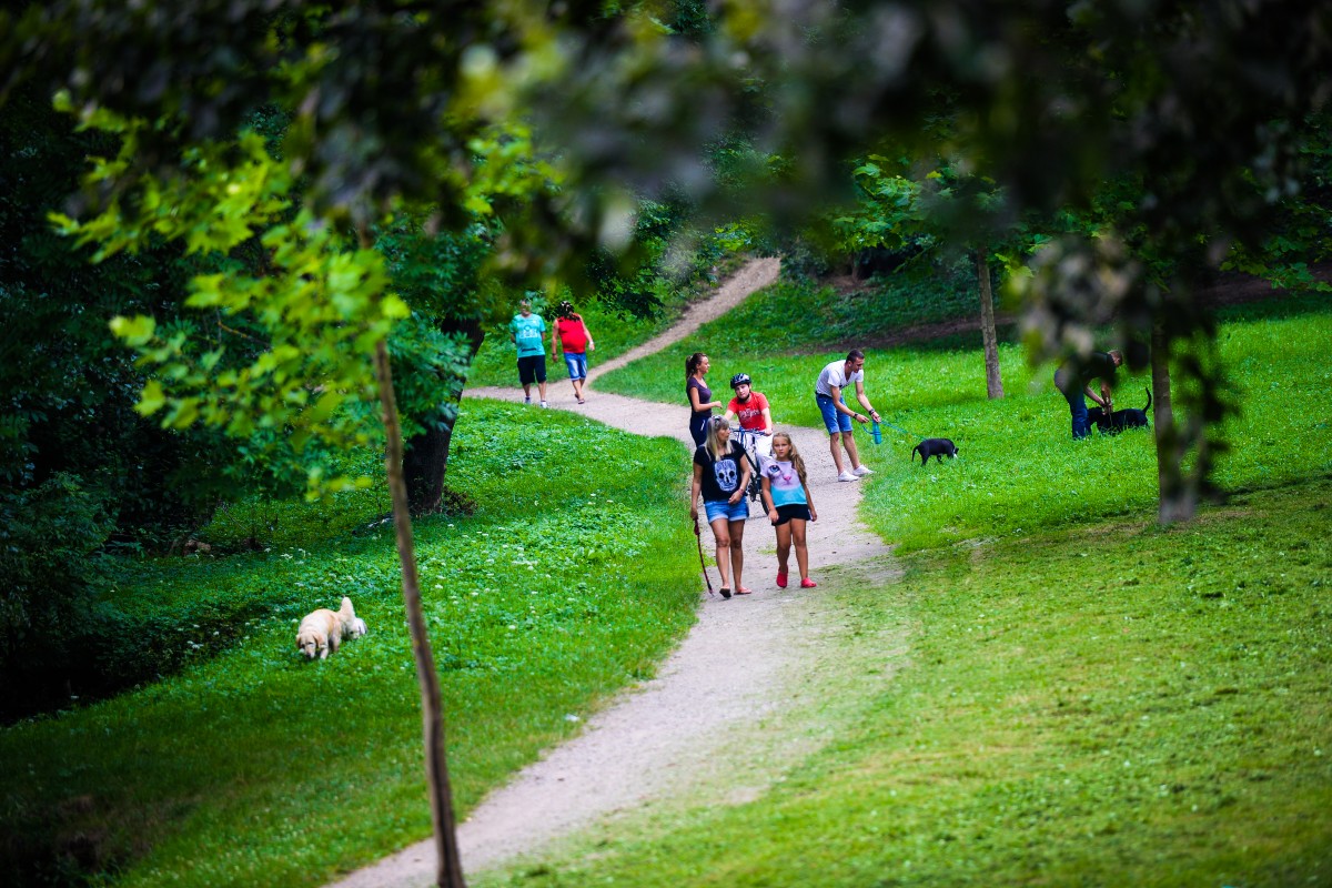200.000 de lei pentru prima toaletă publică din parcul Sub Arini
